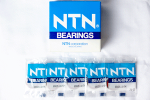 NTN Stainless Steel Bearings
